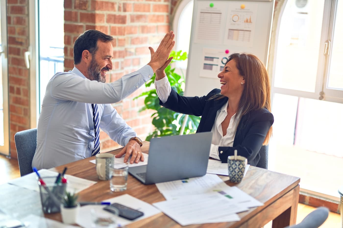 Professional business consultation